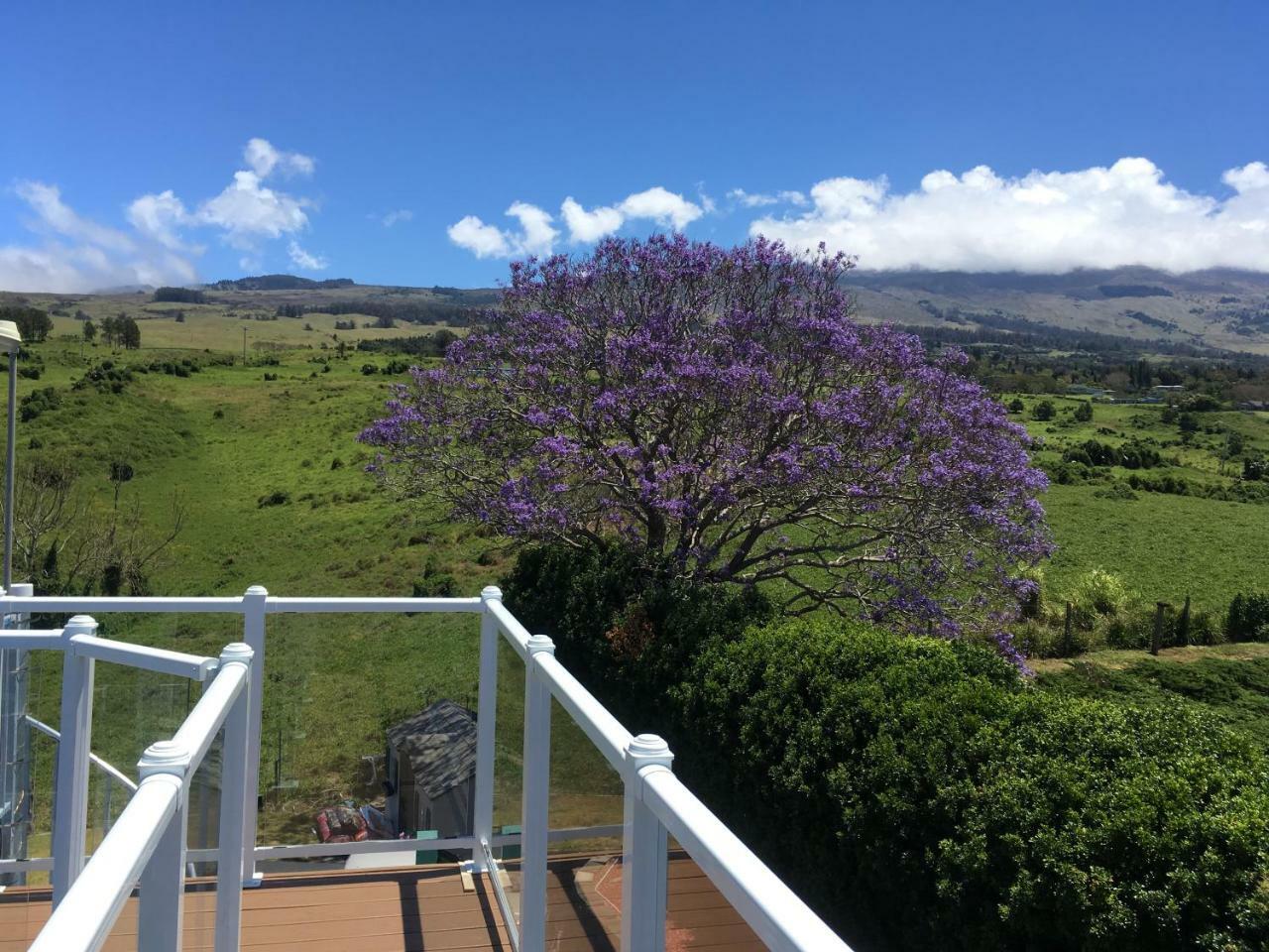Ha'Le Kiana Acomodação com café da manhã Kula Exterior foto