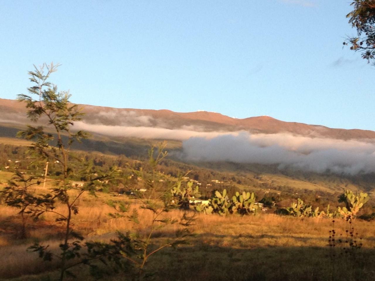 Ha'Le Kiana Acomodação com café da manhã Kula Exterior foto